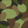 Woodland Camo